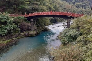 Tokyo: Nikko Private Day Tour with English Speaking Driver