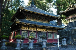 Tokyo: Nikko Private Day Tour with English Speaking Driver