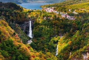 Tokyo: Nikko Private Day Tour with English Speaking Driver