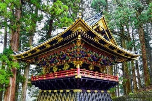 Tokyo: Nikko Private Day Tour with English Speaking Driver