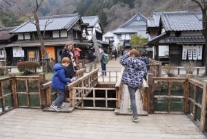 Tokyo: Nikko Private Day Tour with English Speaking Driver