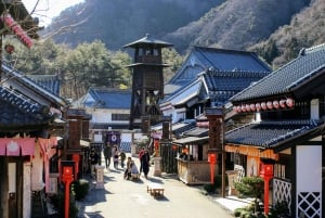 Tokyo: Nikko Private Day Tour with English Speaking Driver