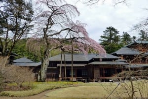 Tokyo: Nikko Private Day Tour with English Speaking Driver