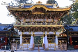 Tokyo: Nikko Private Day Tour with English Speaking Driver