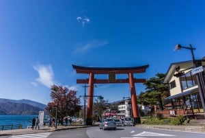 Tokyo: Nikko Private Day Tour with English Speaking Driver