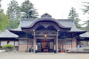 Tokio: prywatna wycieczka 1-dniowa do Nikko z indywidualnym planem zwiedzania