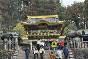 Tokio: prywatna wycieczka 1-dniowa do Nikko z indywidualnym planem zwiedzania