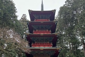 Tokio: prywatna wycieczka 1-dniowa do Nikko z indywidualnym planem zwiedzania