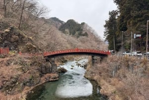 Tokio: prywatna wycieczka 1-dniowa do Nikko z indywidualnym planem zwiedzania