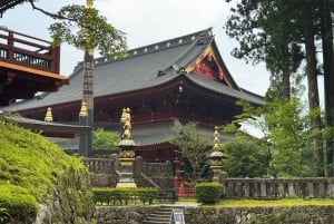 Tokio: prywatna wycieczka 1-dniowa do Nikko z indywidualnym planem zwiedzania