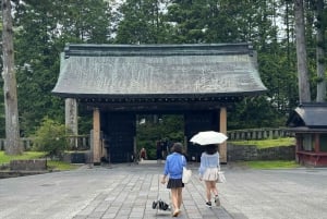 Tokio: prywatna wycieczka 1-dniowa do Nikko z indywidualnym planem zwiedzania