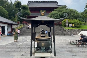 Tokio: prywatna wycieczka 1-dniowa do Nikko z indywidualnym planem zwiedzania