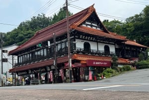 Tokio: prywatna wycieczka 1-dniowa do Nikko z indywidualnym planem zwiedzania