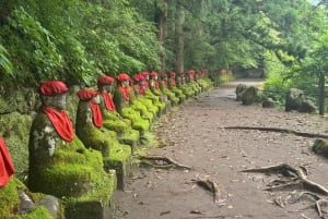Tokio: prywatna wycieczka 1-dniowa do Nikko z indywidualnym planem zwiedzania