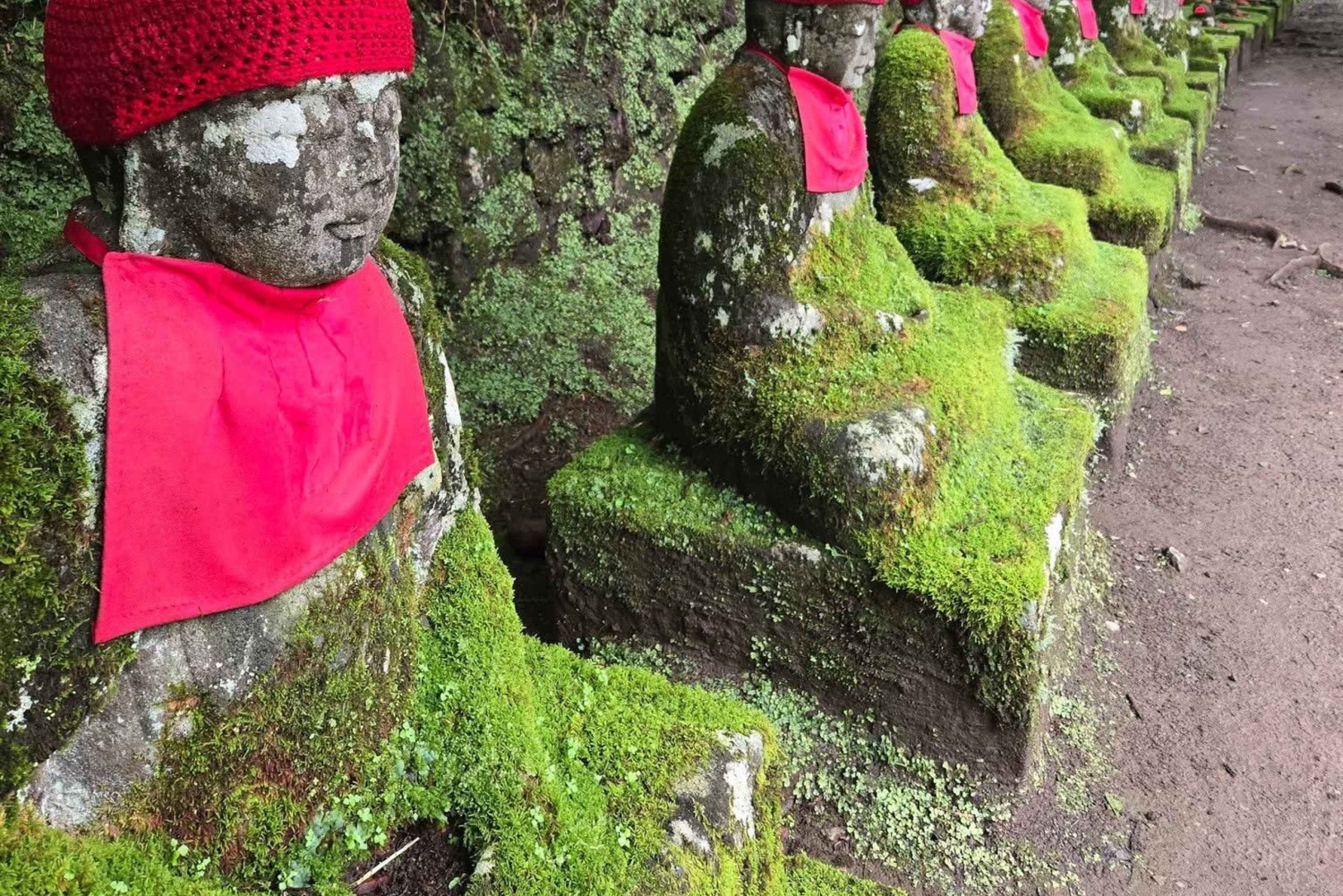 Tokyo: Privat dagstur til Nikko med guide og transport