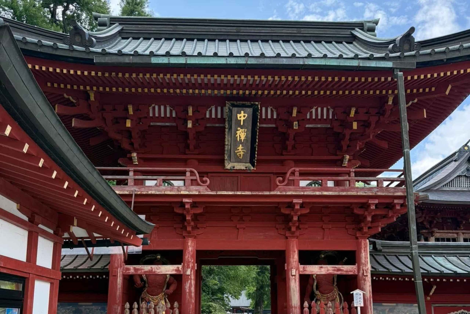 Tokyo: Privat dagstur til Nikko med guide og transport