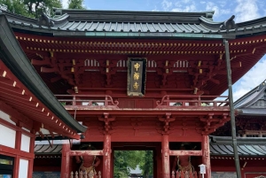 Tokyo: Privat dagstur til Nikko med guide og transport