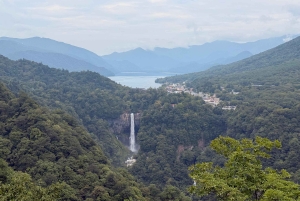 Tokyo: Privat dagstur til Nikko med guide og transport
