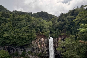 Tokyo: Privat dagstur til Nikko med guide og transport