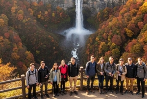 Tokyo: Privat dagstur til Nikko med guide og transport