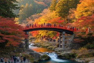 Tokyo: Privat dagstur til Nikko med guide og transport