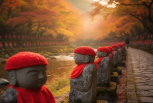 Tokyo: Privat dagstur til Nikko med guide og transport