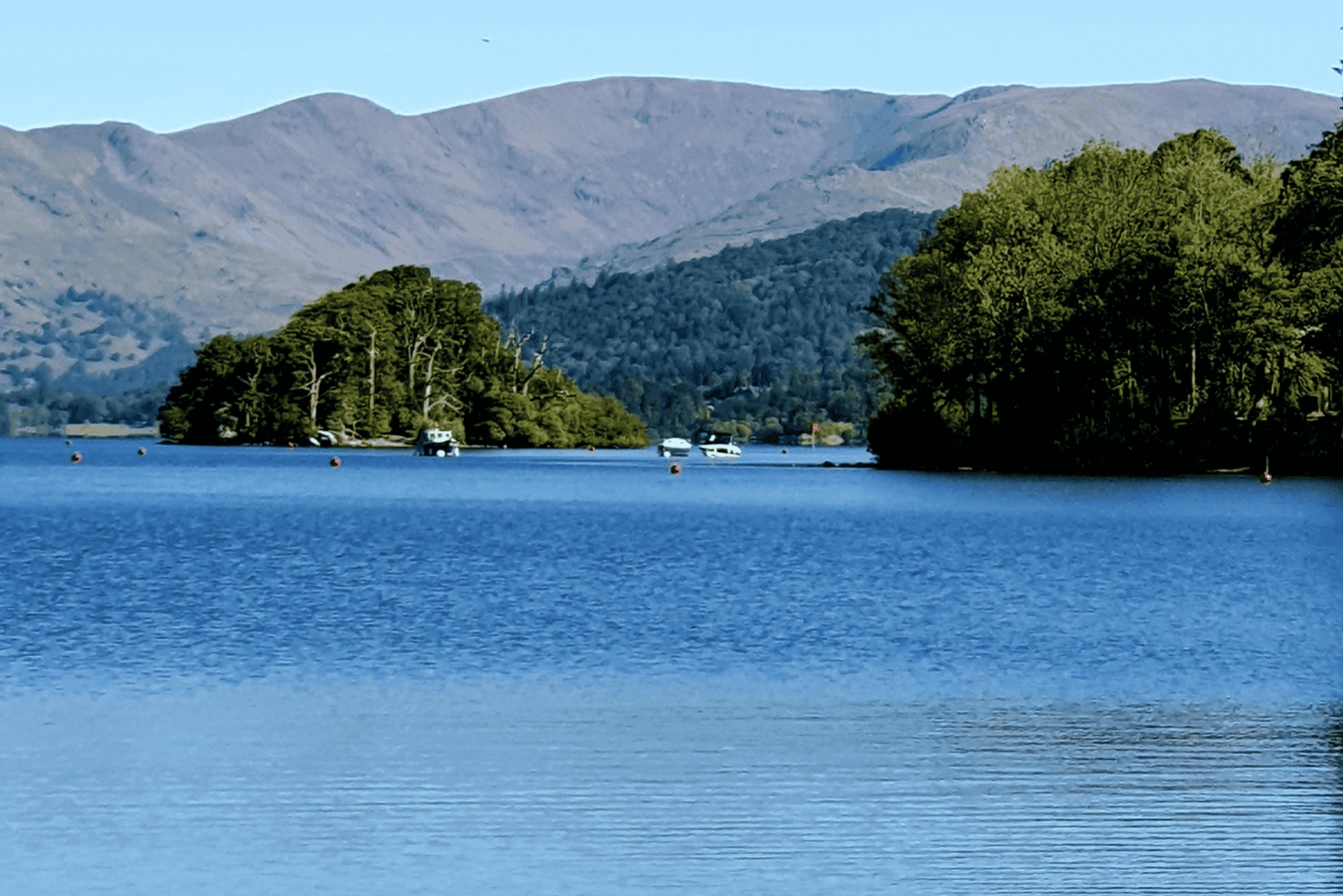 Tokyo : visite d'une journée personnalisée du site classé au patrimoine mondial de Nikko