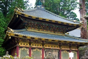 Tokio: Nikko privé dagtour naar werelderfgoed, volledig op maat gemaakt