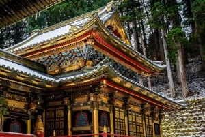Tokio: Nikko privé dagtour naar werelderfgoed, volledig op maat gemaakt