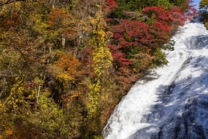 Tokio: Nikko privé dagtour naar werelderfgoed, volledig op maat gemaakt
