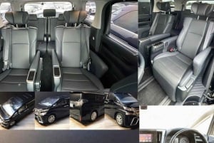 Tokyo : visite d'une journée personnalisée du site classé au patrimoine mondial de Nikko