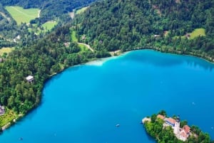 Tokyo : visite d'une journée personnalisée du site classé au patrimoine mondial de Nikko