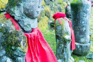 Tokyo : visite d'une journée personnalisée du site classé au patrimoine mondial de Nikko