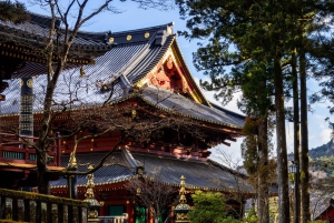 Tokyo : visite d'une journée personnalisée du site classé au patrimoine mondial de Nikko