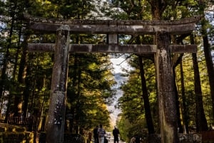 Tokyo : visite d'une journée personnalisée du site classé au patrimoine mondial de Nikko