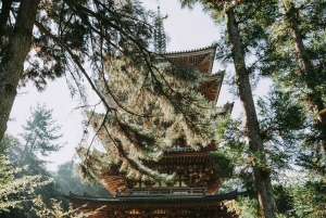 Tokyo : visite d'une journée personnalisée du site classé au patrimoine mondial de Nikko
