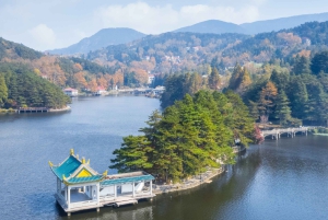 Tokyo : visite d'une journée personnalisée du site classé au patrimoine mondial de Nikko