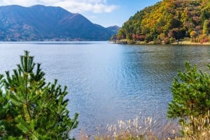 Tokyo : visite d'une journée personnalisée du site classé au patrimoine mondial de Nikko
