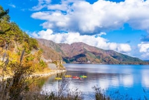 Tokyo : visite d'une journée personnalisée du site classé au patrimoine mondial de Nikko