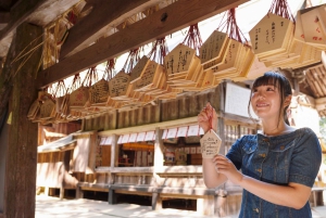Tokyo : visite d'une journée personnalisée du site classé au patrimoine mondial de Nikko