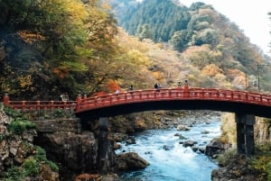 Tokyo : visite d'une journée personnalisée du site classé au patrimoine mondial de Nikko