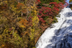 Tokyo : visite d'une journée personnalisée du site classé au patrimoine mondial de Nikko