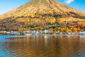 Tokyo : visite d'une journée personnalisée du site classé au patrimoine mondial de Nikko