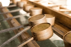 Tokyo : visite d'une journée personnalisée du site classé au patrimoine mondial de Nikko