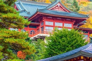 Tokyo : visite d'une journée personnalisée du site classé au patrimoine mondial de Nikko