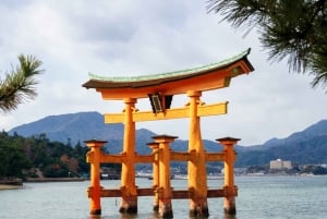 Tokyo : visite d'une journée personnalisée du site classé au patrimoine mondial de Nikko