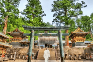 Tokyo: Nikko Toshogu Shrine and Kegon Falls Day Trip