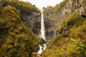 Tokyo: Nikko Toshogu Shrine and Kegon Waterfall Tour