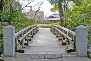 Tokio: Nikko-matka Toshogu-pyhäkkö Kegon-putoukset ja Chuzenji-järvi