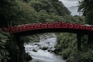 Tokyo: Tour privato di un giorno di Nikko, Patrimonio dell'Umanità dell'Unesco, e prelievo di campioni